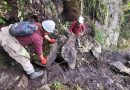 DIRECCION DE CULTURA DE CUSCO DISPONE CIERRE  TEMPORAL DE ACCESO A LA MONTAÑA MACHUPICCHU POR DERRUMBE DE ROCAS Y ÁRBOLES